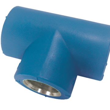 TE PPR AZUL ROSCA FÊMEA